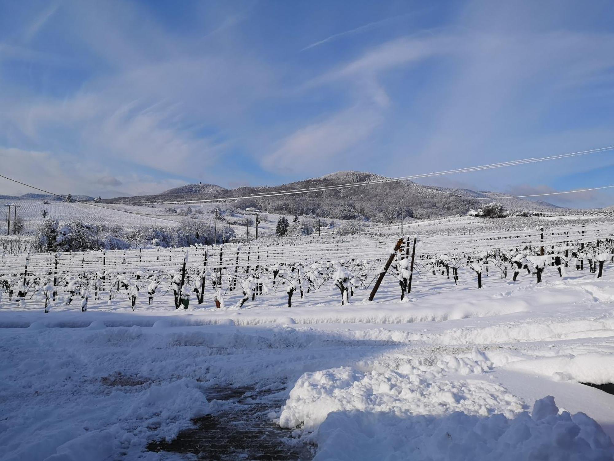 L'Altenberg برغهايم المظهر الخارجي الصورة